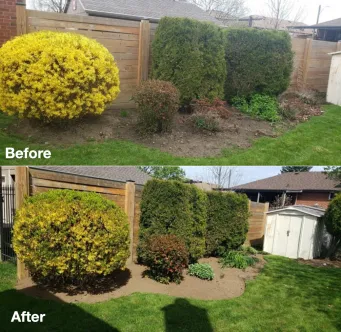 Gardens project photo