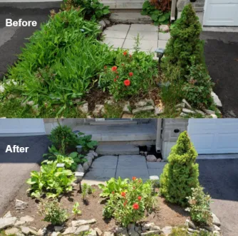 Gardens project photo