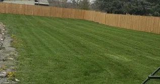 Lawns project photo