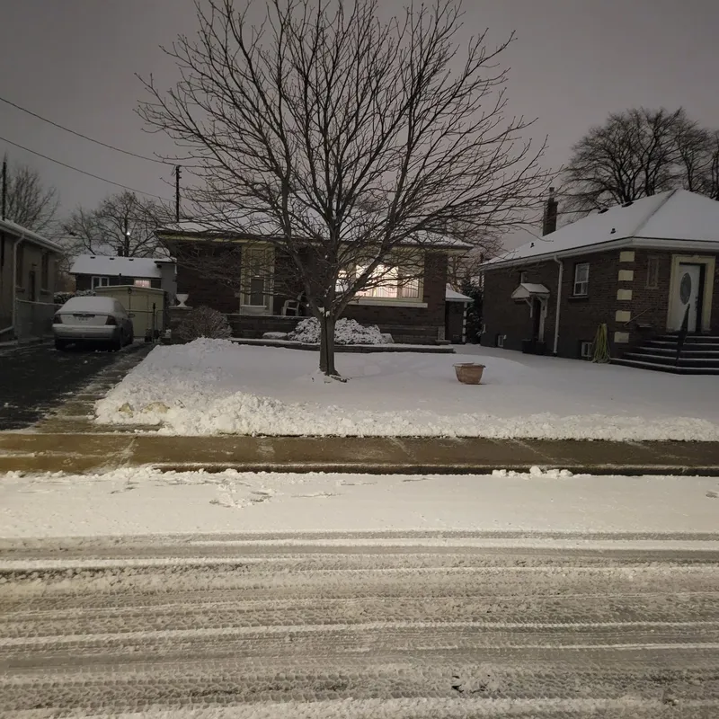 Snow project photo