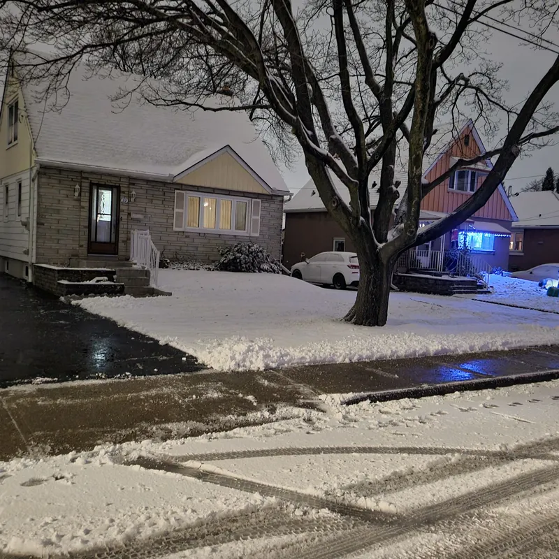 Snow project photo