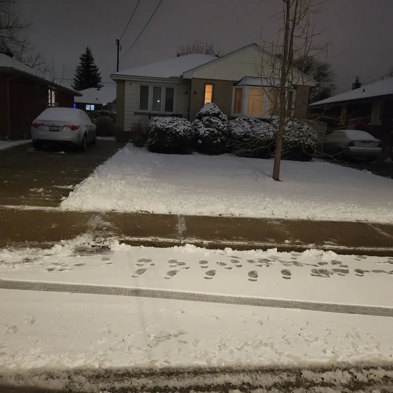 Snow project photo